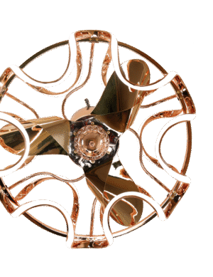 Camellia Rose Gold